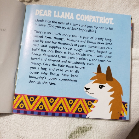 What an adorable Llama in a Box - Picture 11 of 11